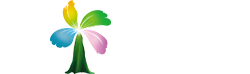 海口郑皓之科技有限公司